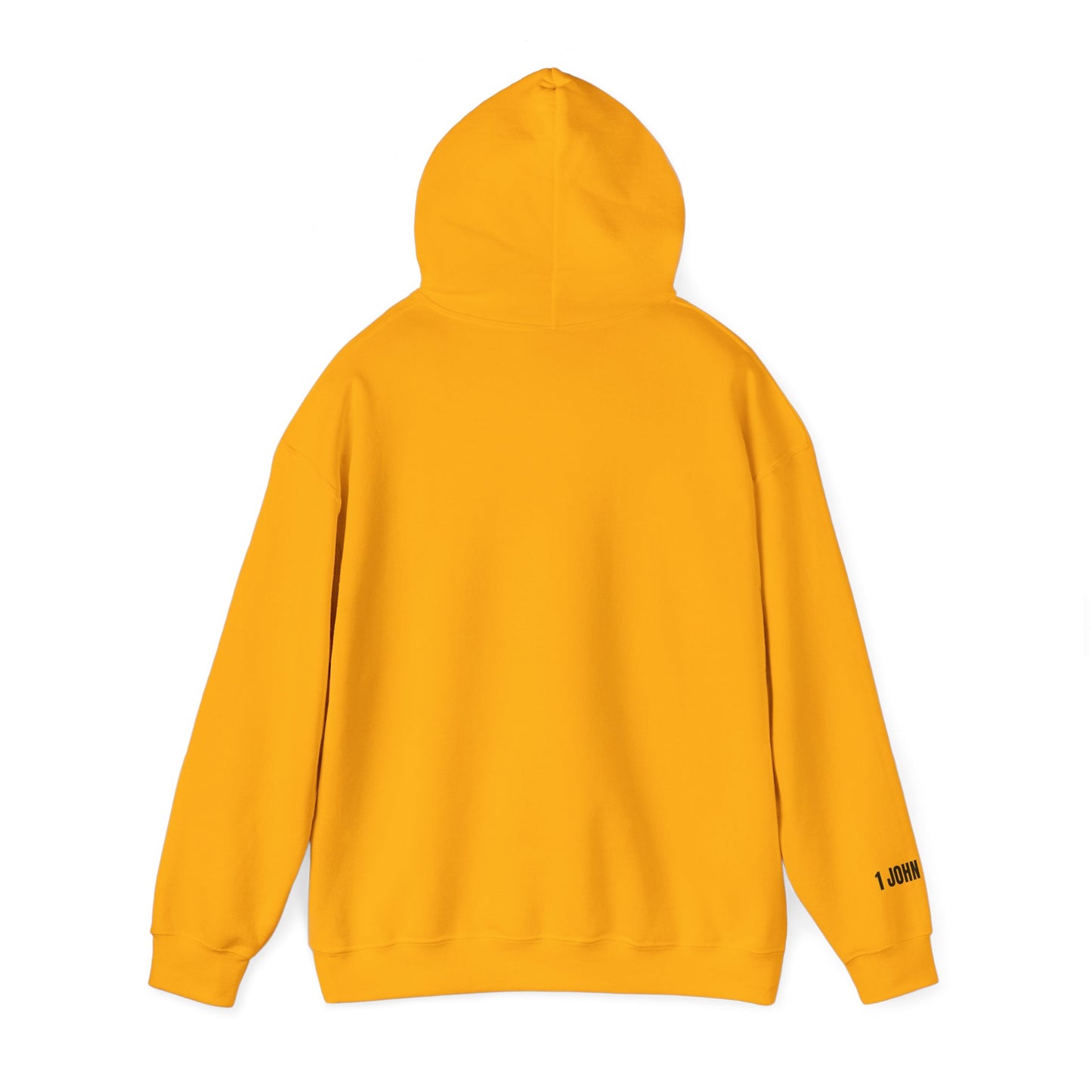 Faith-Inspired Unisex Hooded Sweatshirt - "My Jesus Stood for D.E.I. What About Yours?"
