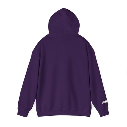 Faith-Inspired Unisex Hooded Sweatshirt - "My Jesus Stood for D.E.I. What About Yours?"